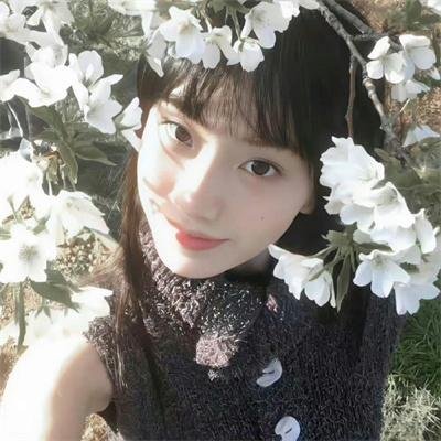 绮梦之旅